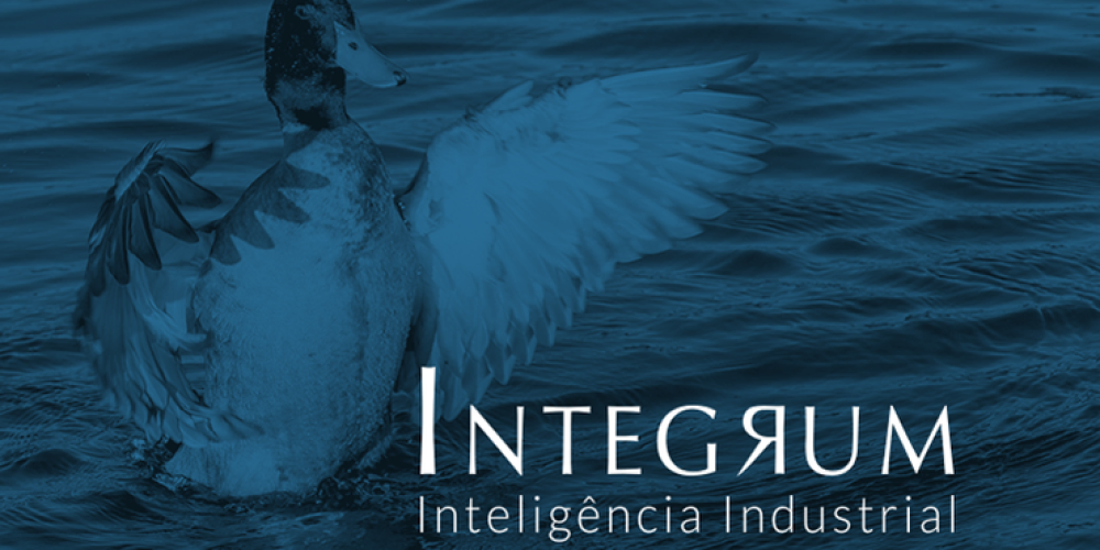 SEJA UM PATO, ISTO MESMO, ESCOLHA SER UM PATO.